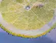 yellow lemon with water droplets